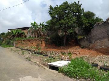 Alugar Terreno / Padrão em Pindamonhangaba. apenas R$ 100.000,00