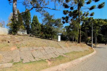 Terreno no Condomínio Reserva Figueiredo, Campos do Jordão-SP