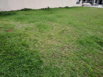 Terreno, 300 m², à venda por R$ 370.000- Campos do Conde II Versailles - Tremembé/SP