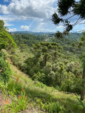 Terreno, 1.088 m², à venda por R$ 1.200.000- Alto Capivari - Campos do Jordão/SP