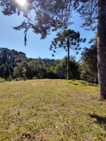 Terreno, 1.000 m², à venda - Condomínio Jardim Véu da Noiva - Campos do Jordão/SP