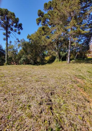 Terreno, 1.000 m², à venda - Condomínio Jardim Véu da Noiva - Campos do Jordão/SP