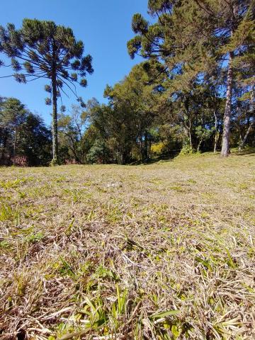 Terreno, 1.000 m², à venda - Condomínio Jardim Véu da Noiva - Campos do Jordão/SP