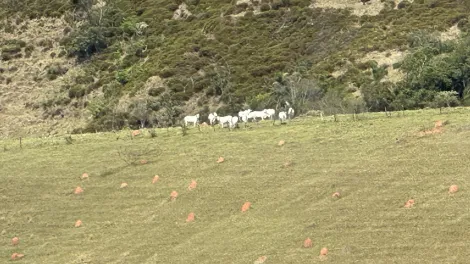 Fazenda com 432 hectares - Lorena/SP