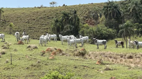 Fazenda com 432 hectares - Lorena/SP