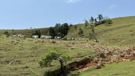 Fazenda com 432 hectares - Lorena/SP